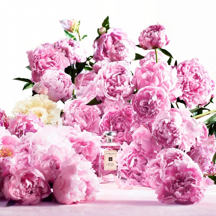 Jo Malone Peony & Blush Suede - Cologne 30 ml